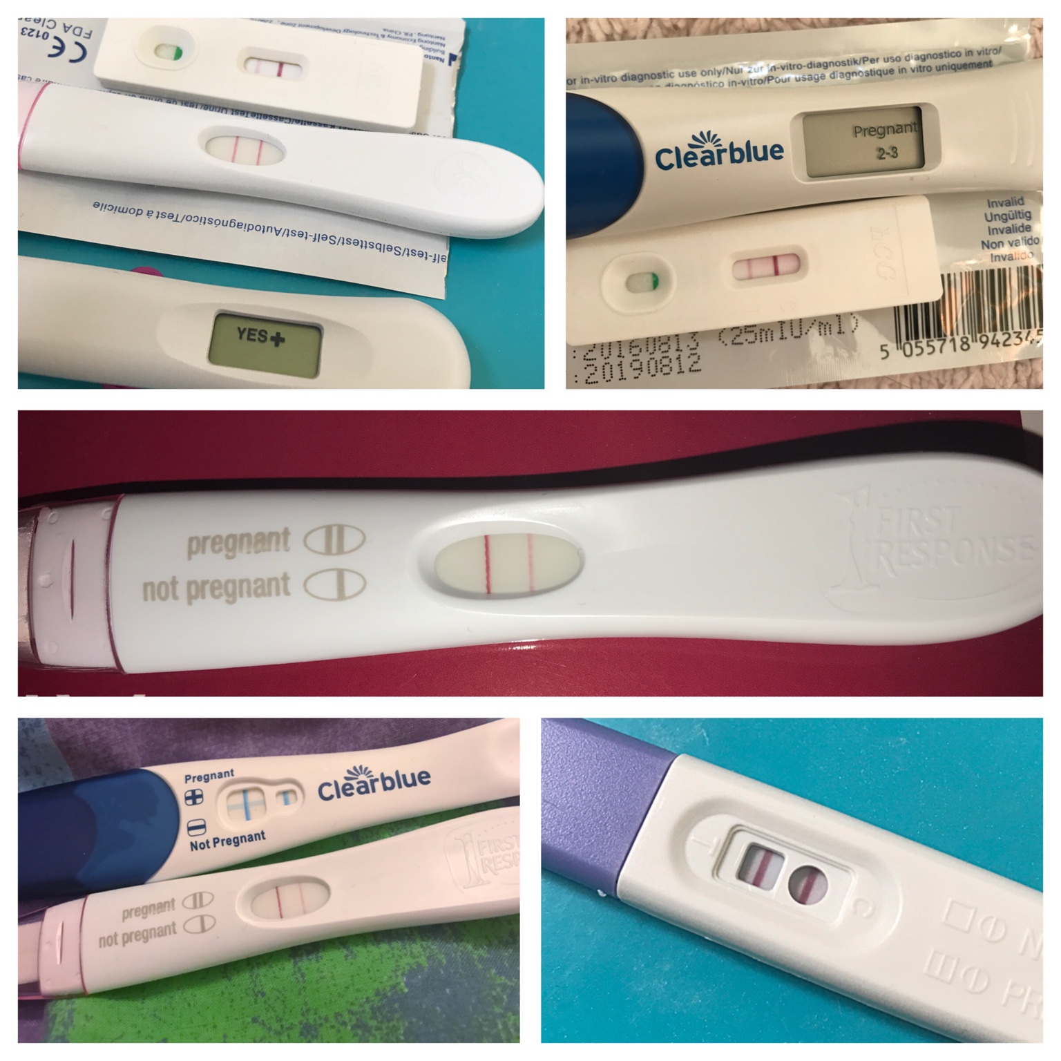 Why Are My Pregnancy Tests Getting Lighter at Juan Adams blog