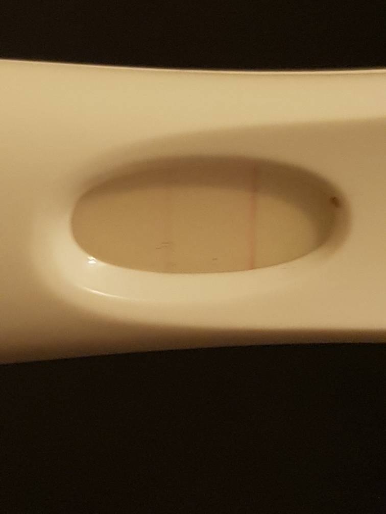 Evap lines on frer ??please help