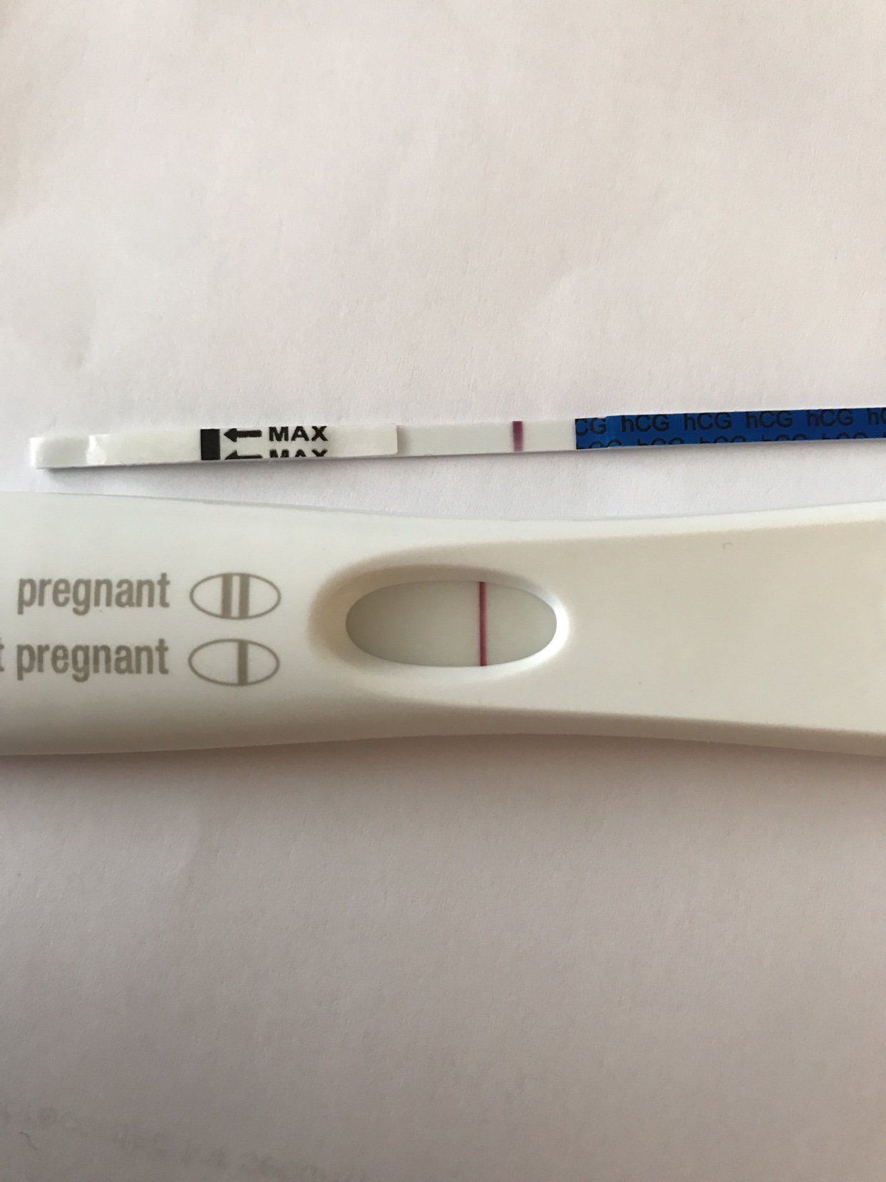 1 Day Late Can I Take A Pregnancy Test PregnancyWalls