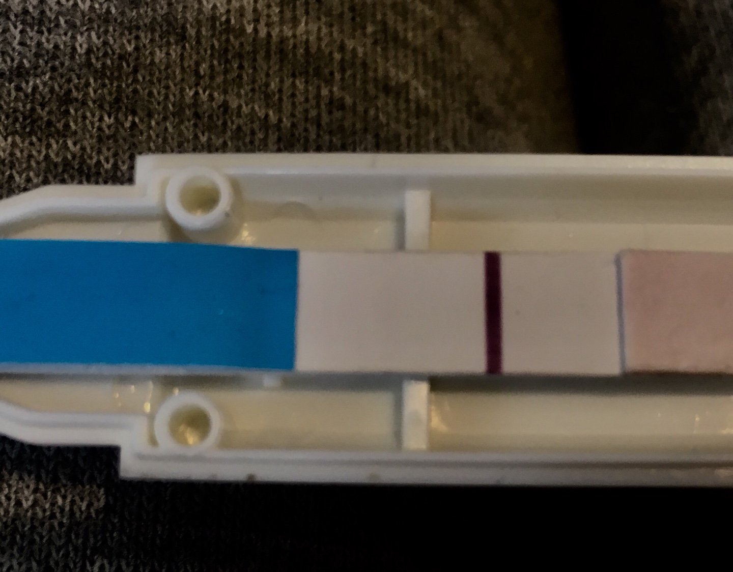 Pregnancy test result help!!